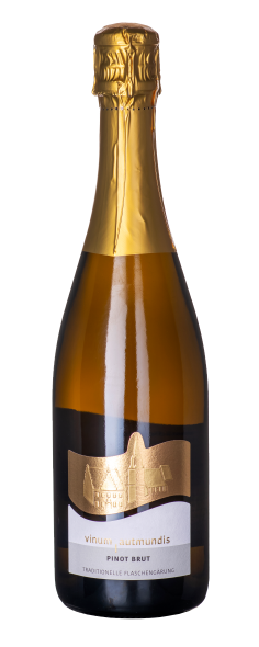 Pinot brut Sekt 2021