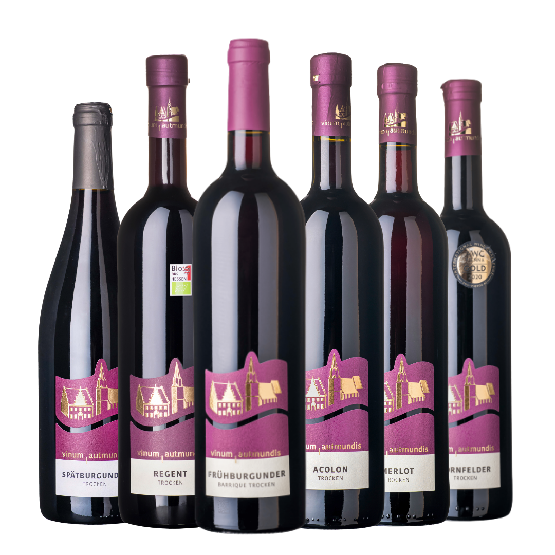 Die trockene Wahrheit II